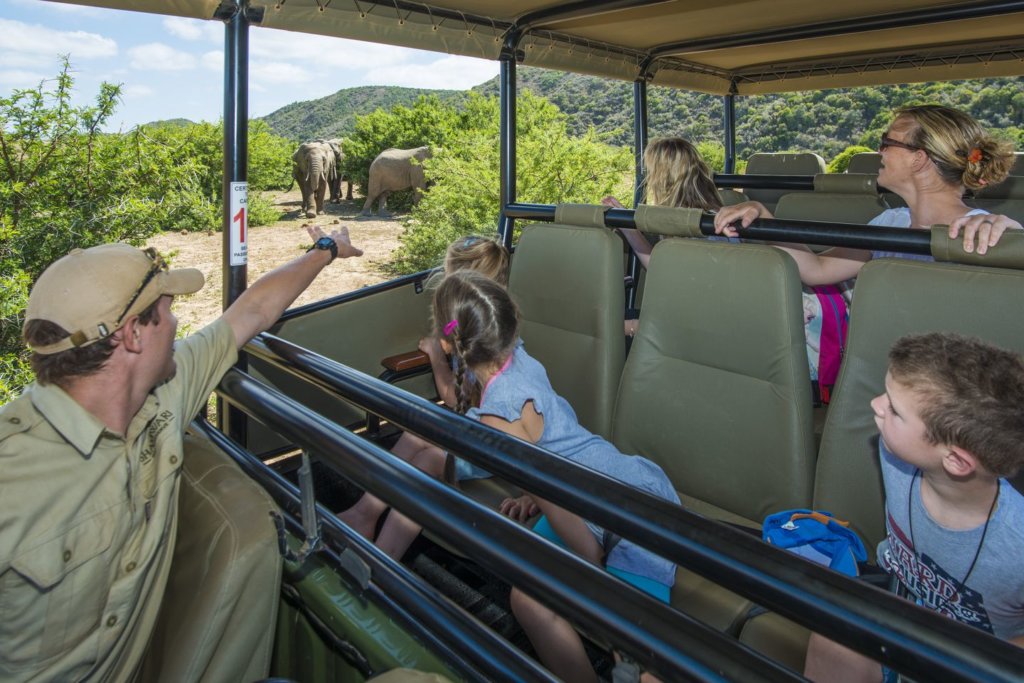 shamwari kids view on family safari
