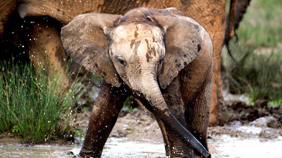 Best family vacations in Africa 1