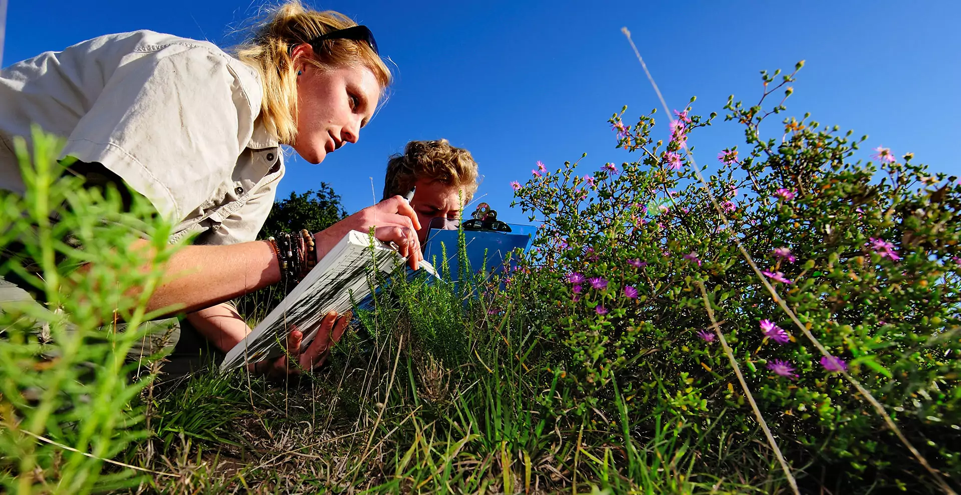 Conservation-Experience-At-Shamwari
