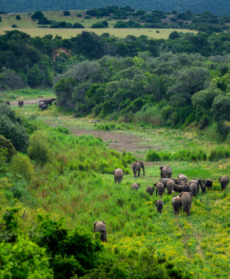 What is ecotourism