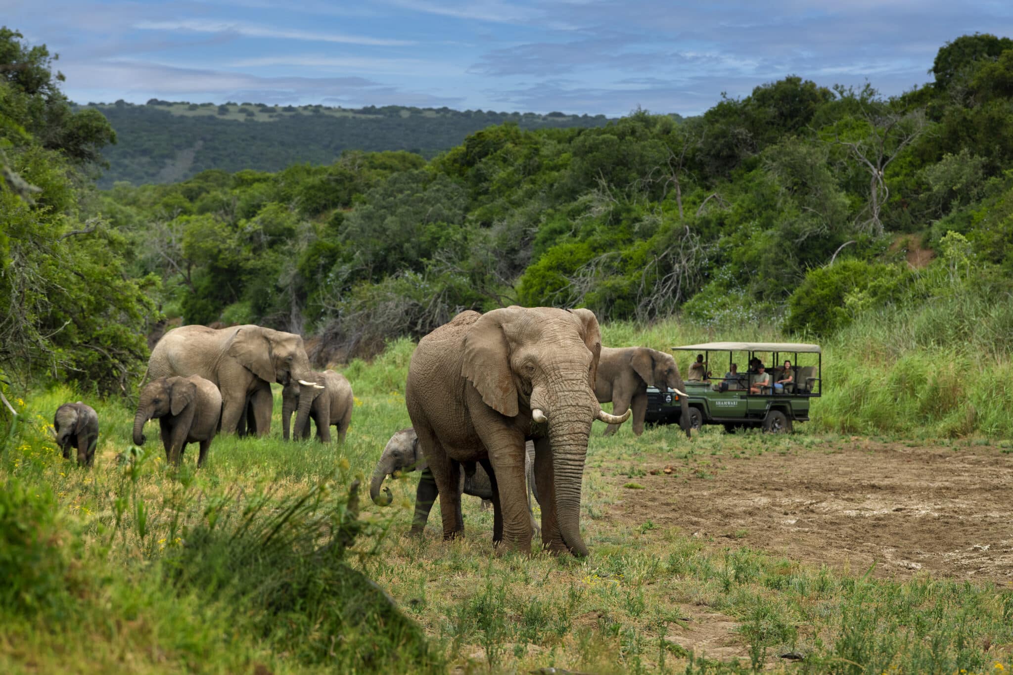 Shamwari Private Game Reserve Eastern Cape Game Reserves Shamwari Private Game Reserve Eastern Cape Game Reserves