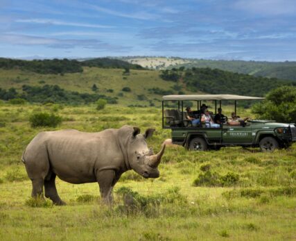 Safari Experience