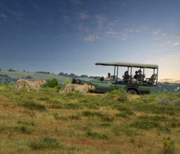 Activities_087