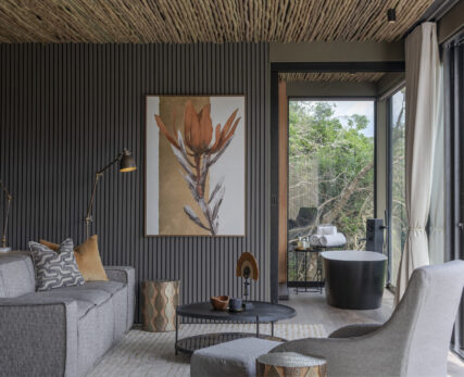 Bayethe room interior