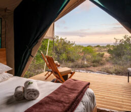 EX-guest-tent-2