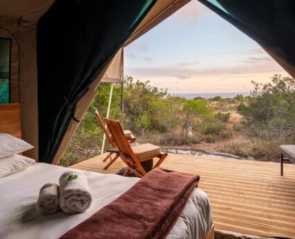 EX-guest-tent-2