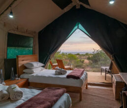 EX-guest-tent-3