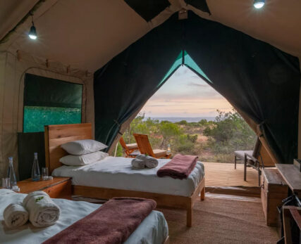 EX-guest-tent-3