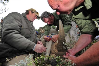 Dr Ian Player Rhino awareness center and Forever Wild Rhino protection Initiative
