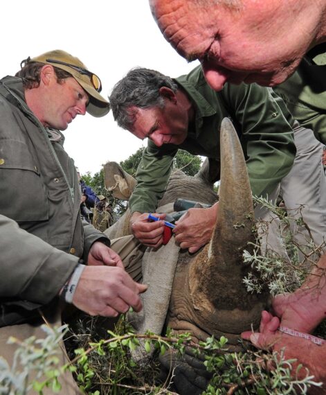 Dr Ian Player Rhino awareness center and Forever Wild Rhino protection Initiative