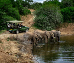 What is the best time of year for game viewing?