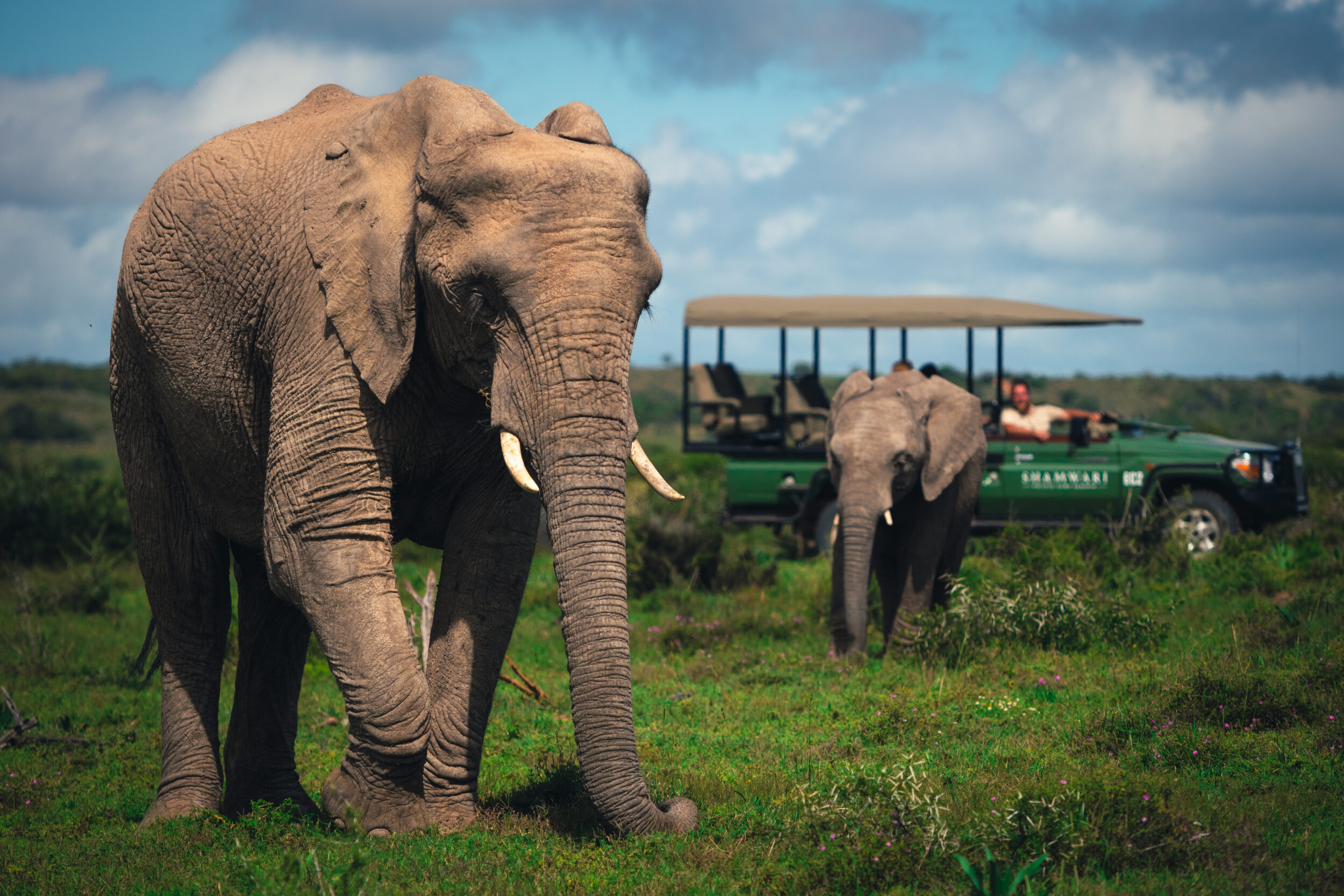 The big five