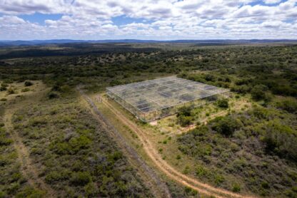 SPGR_SHAMWARI_FOUNDATION-099