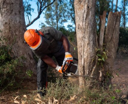 ALIEN VEGETATION CONTROL PROGRAMME