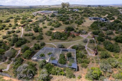 SPGR_SHAMWARI_FOUNDATION-103