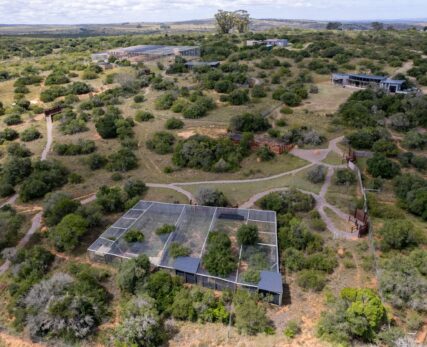 Wildlife Rehabilitation Experience