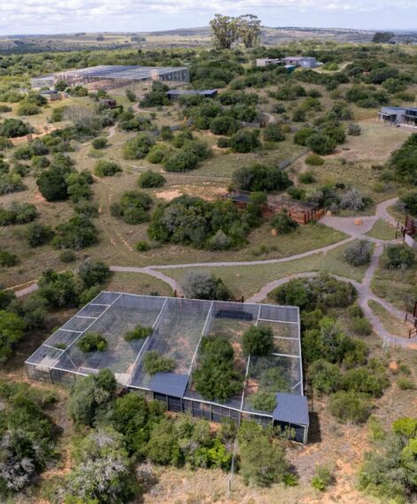 SPGR_SHAMWARI_FOUNDATION-103