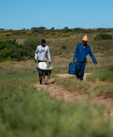 SPGR_SHAMWARI_FOUNDATION-126