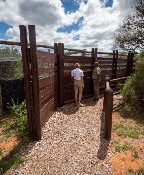 SPGR_SHAMWARI_FOUNDATION-87