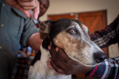 SPGR_SHAMWARI_FOUNDATION-91