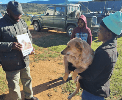 Domestic Animal Welfare and Outreach