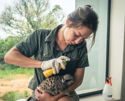 SHAMWARI WILDLIFE REHABILITATION CENTRE