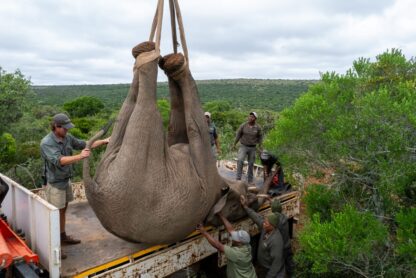 SUT_S2_EP9_PHOTOS-04