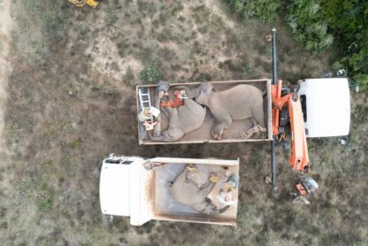 SUT_S2_EP9_PHOTOS-06