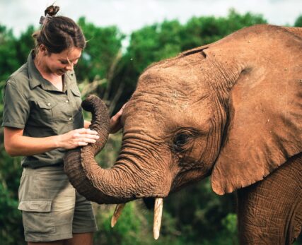 Wildlife Rehabilitation Experience