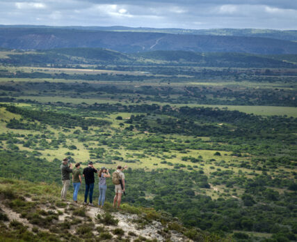 Bush Walks