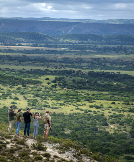 Walking-safari-with-view-aerial-shot-1