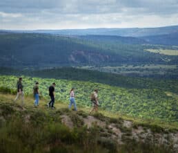 Walking-safari-with-view-of-reserve-1