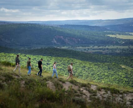 Bush Walks