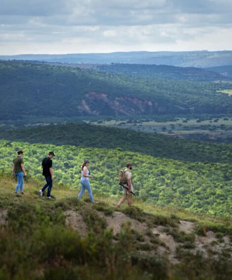 Walking-safari-with-view-of-reserve-1
