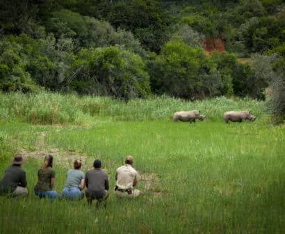 Walking-with-rhino-1