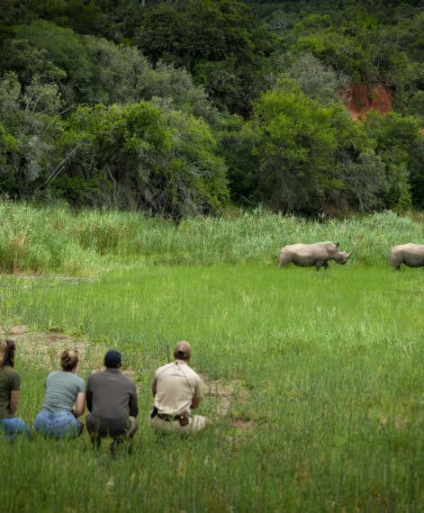 Walking-with-rhino-1