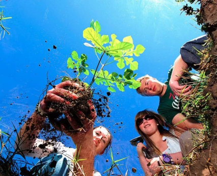 02_A-group-of-Shamwari-volunteers-planting-a-tree