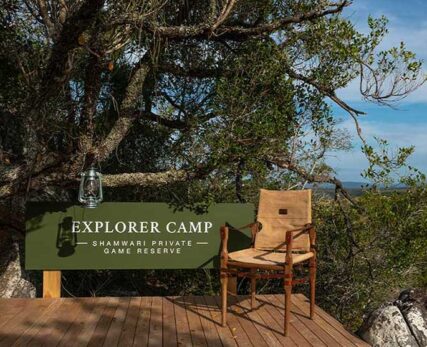 02_Shamwari_A-camping-chair-next-to-a—big-south-african-tree-and-sign-that-reads-explorer-camp-1