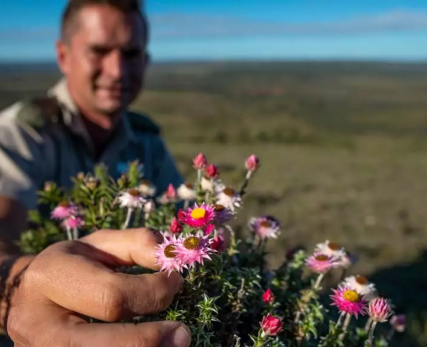 05_A-Shamwari-field-guide-showing-off-some-wildflowers-to-the-camera