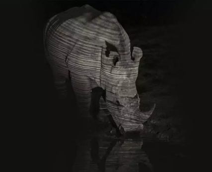05_Shamwari_Wildlife_ISO