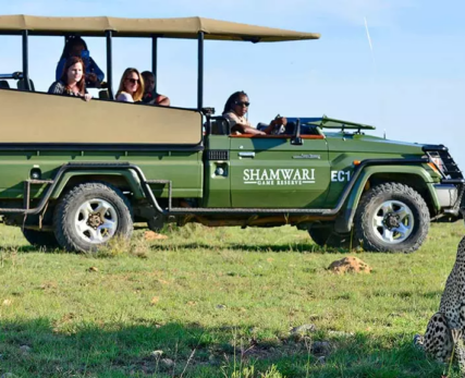 06_A-Shamwari-game-viewing-vehicle-stopping-to-admire-a-cheetah