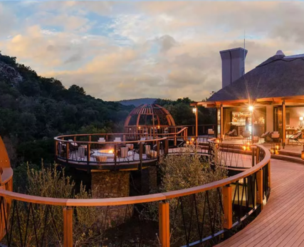 06_Shamwari_Tours-Wildlife_SouthAfrica