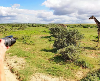 07_A-nature-photographer-capturing-the-image-of-a-giraffe