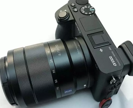 09_best-camera-for-wildlife-photography_Sony-a6500
