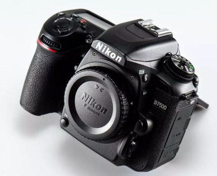 12_best-affordable-camera-for-wildlife-photography_nikon-d7500