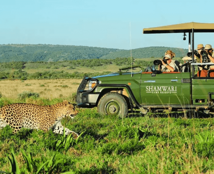 21_Shamwari_safari-animal-pictures