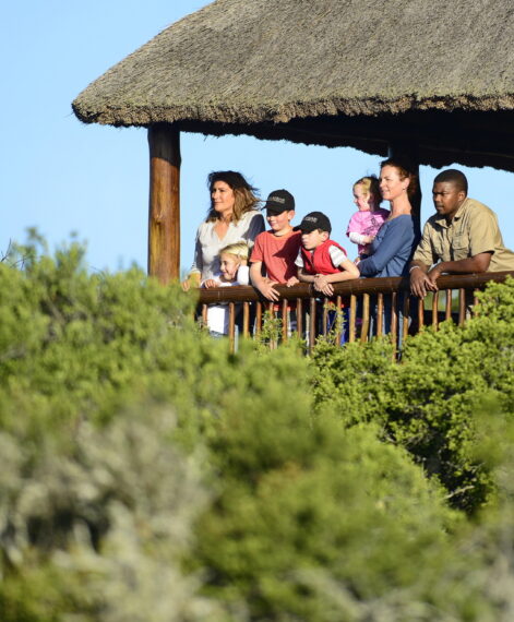 Shamwari Game Reserve