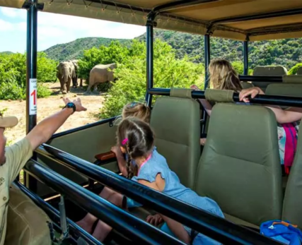 Best-family-vacations-in-south-africa-1