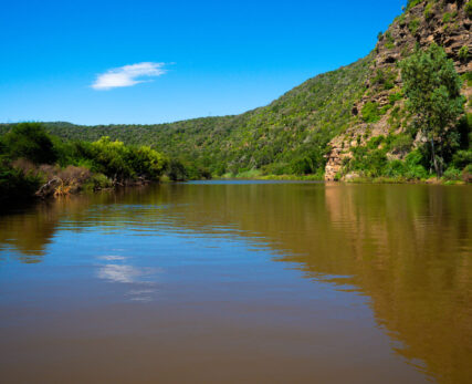 Bushman's River