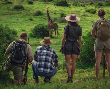 Guest Experience_walking safari